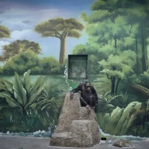 © Zed Nelson, United Kingdom, Finalist, Professional competition, Wildlife & Nature, Sony World Photography Awards 2025